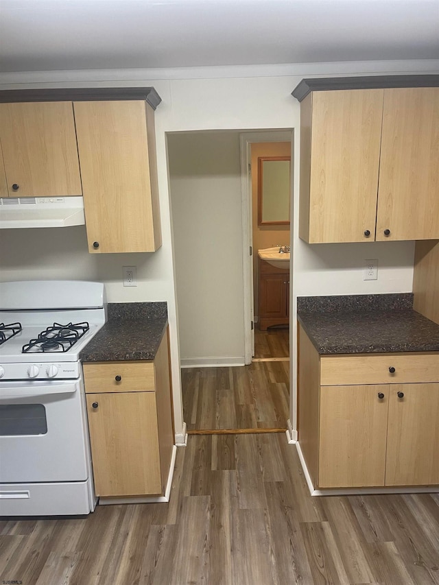 kitchen with white gas stove, dark hardwood / wood-style flooring, and light brown cabinets