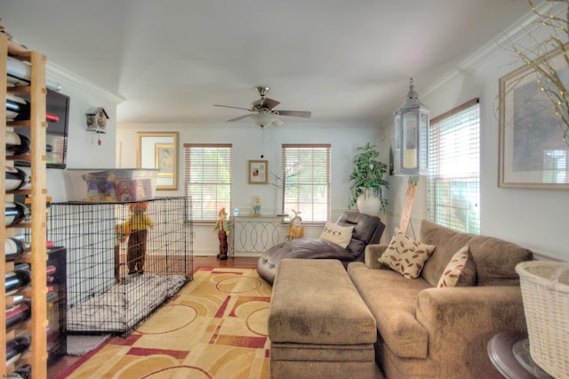 living room with ceiling fan, plenty of natural light, light hardwood / wood-style floors, and ornamental molding