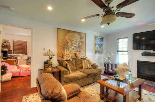 living room featuring ceiling fan, hardwood / wood-style flooring, and ornamental molding