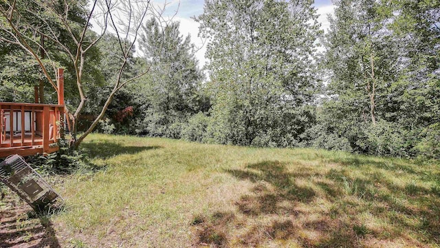 100 E Collings Dr, Williamstown, NJ 08094 - view of yard