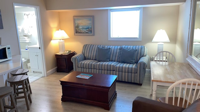 living room featuring light hardwood / wood-style flooring