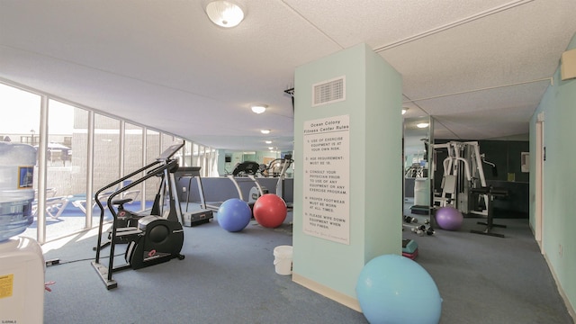 exercise area with carpet flooring