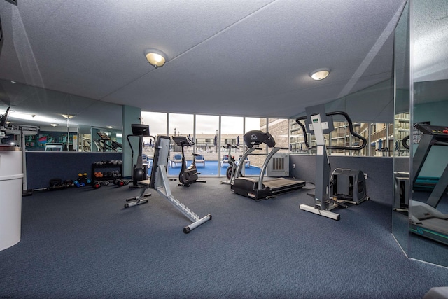 exercise room featuring a textured ceiling and floor to ceiling windows