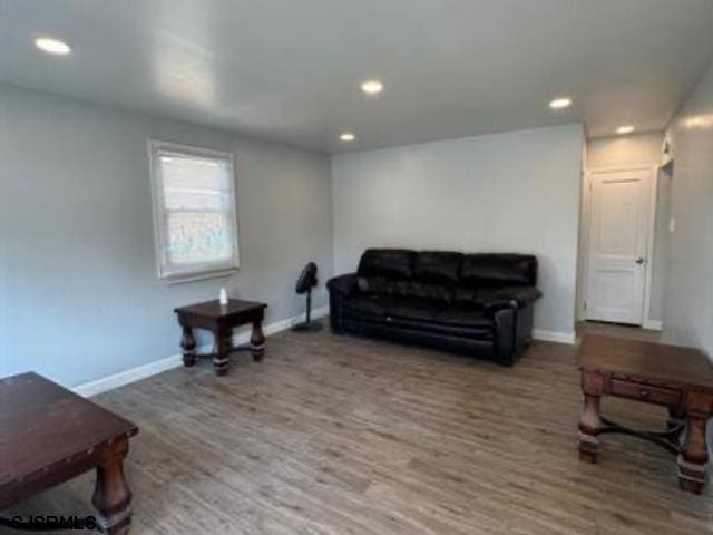 living room with wood-type flooring