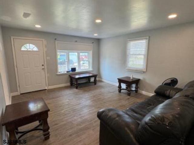 living room featuring wood-type flooring