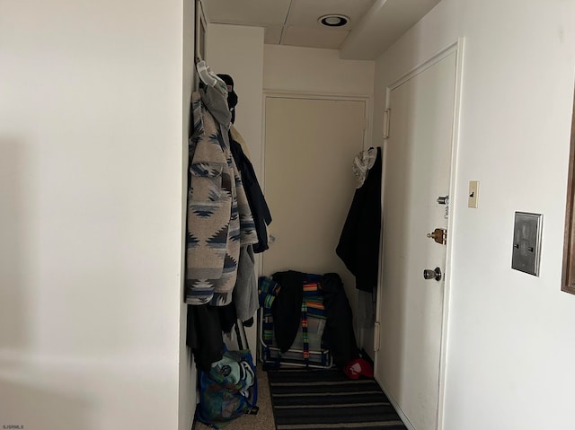 walk in closet featuring carpet flooring