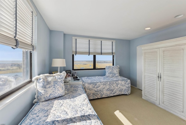 bedroom featuring multiple windows and carpet