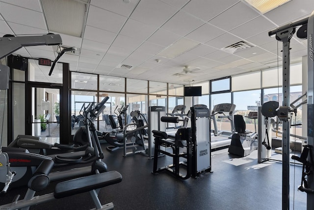 workout area featuring a wealth of natural light, floor to ceiling windows, ceiling fan, and a drop ceiling