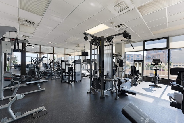 workout area with floor to ceiling windows and a paneled ceiling