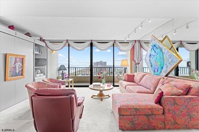 carpeted living room featuring a textured ceiling and track lighting