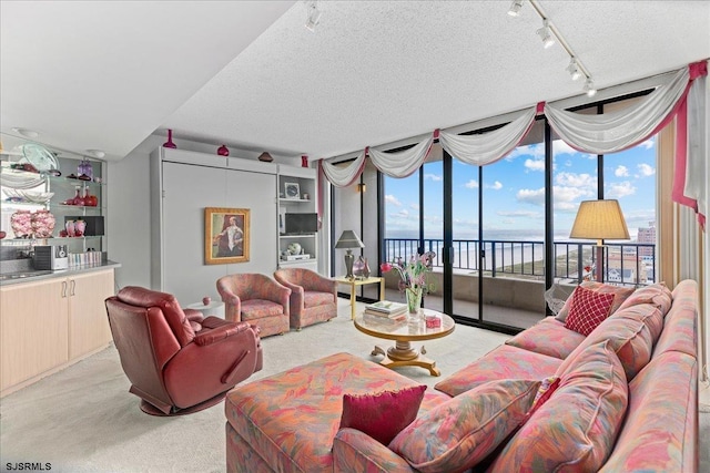 living room with a textured ceiling, a water view, track lighting, and light colored carpet