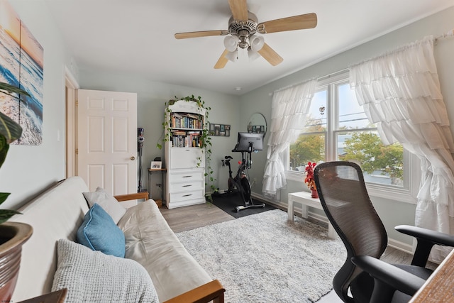 office space featuring ceiling fan and light hardwood / wood-style flooring