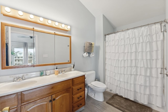 bathroom with vaulted ceiling, a shower with curtain, vanity, and toilet