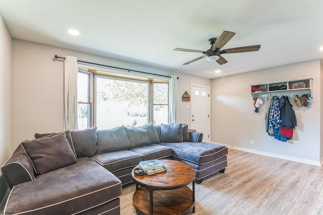 living room with ceiling fan and light hardwood / wood-style flooring