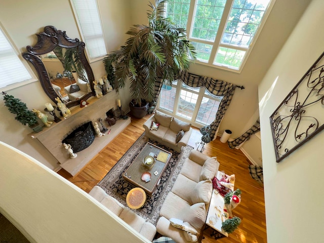 living room featuring wood-type flooring and a high ceiling