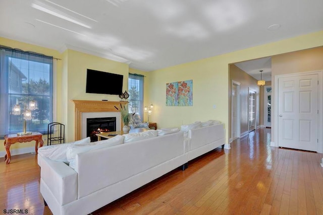 living room featuring hardwood / wood-style flooring