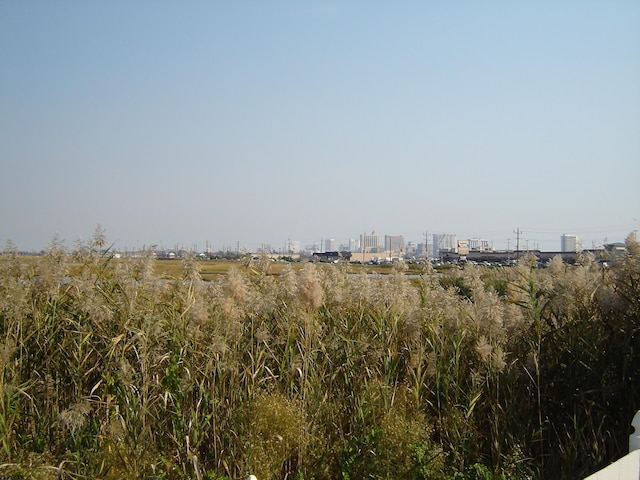 view of landscape