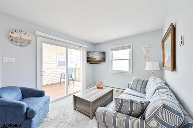 living room with carpet