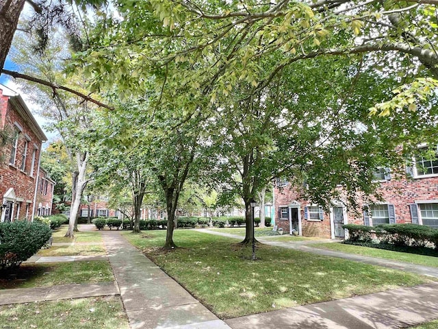 view of property's community with a lawn