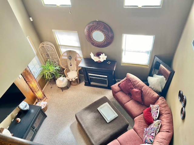 carpeted living room with a wealth of natural light