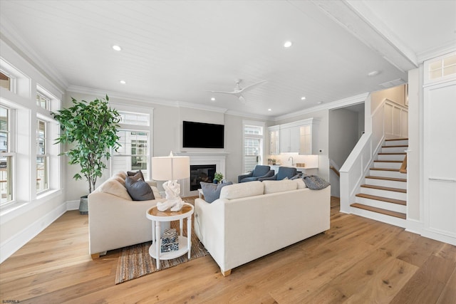 living room featuring ceiling fan, light wood-type flooring, and crown molding