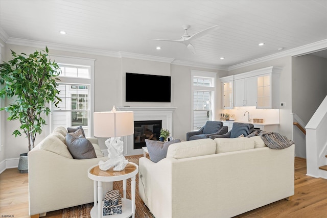 living room featuring ceiling fan, crown molding, and light hardwood / wood-style floors