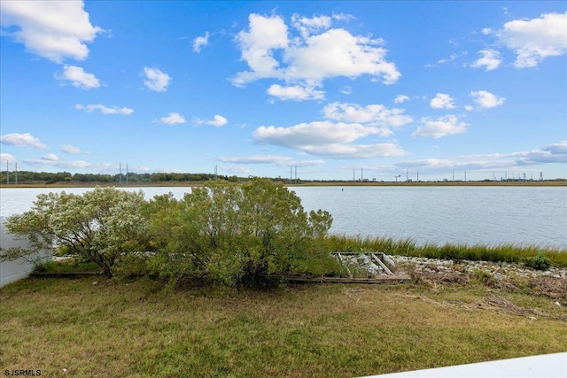 view of water feature