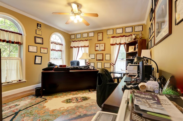 home office with ornamental molding, ceiling fan, and hardwood / wood-style flooring