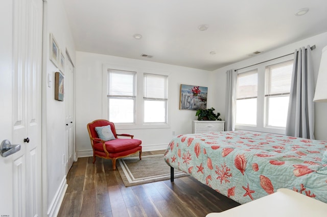 bedroom featuring multiple windows, dark wood-type flooring, and a closet