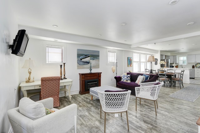 living room featuring light hardwood / wood-style flooring and plenty of natural light