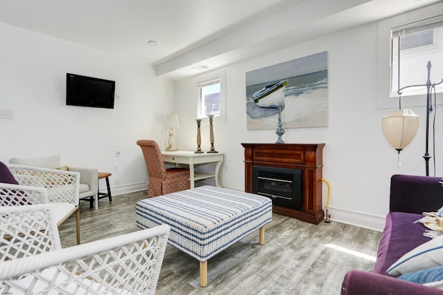 living room featuring light hardwood / wood-style flooring