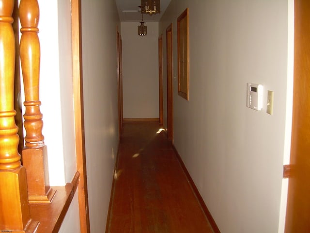 corridor featuring dark wood-type flooring