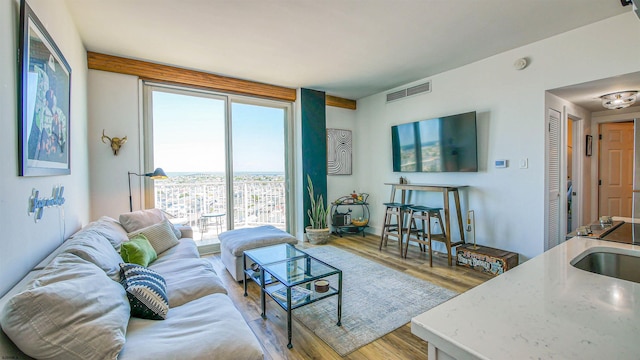 living area featuring visible vents and wood finished floors