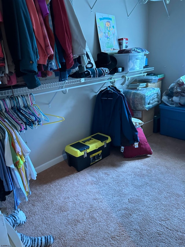 spacious closet with carpet flooring