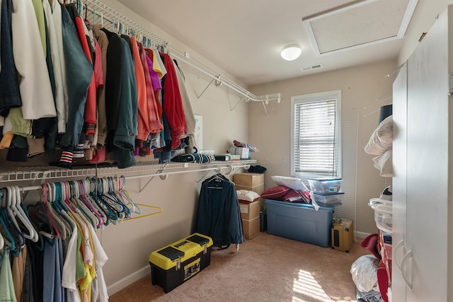 spacious closet with light colored carpet