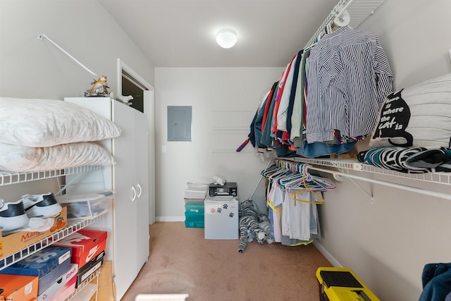 spacious closet with electric panel and light carpet