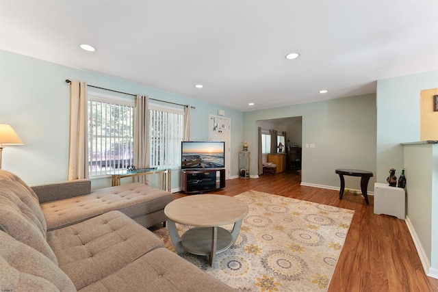 living room featuring wood-type flooring