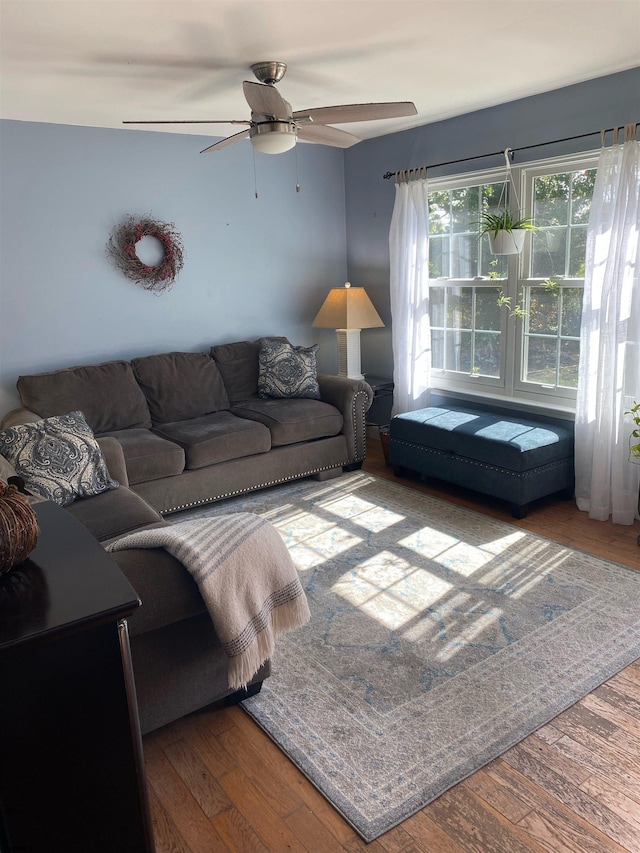 living room featuring ceiling fan and hardwood / wood-style floors