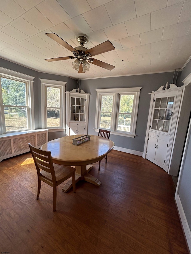 dining room featuring ceiling fan, radiator, dark hardwood / wood-style flooring, and a healthy amount of sunlight