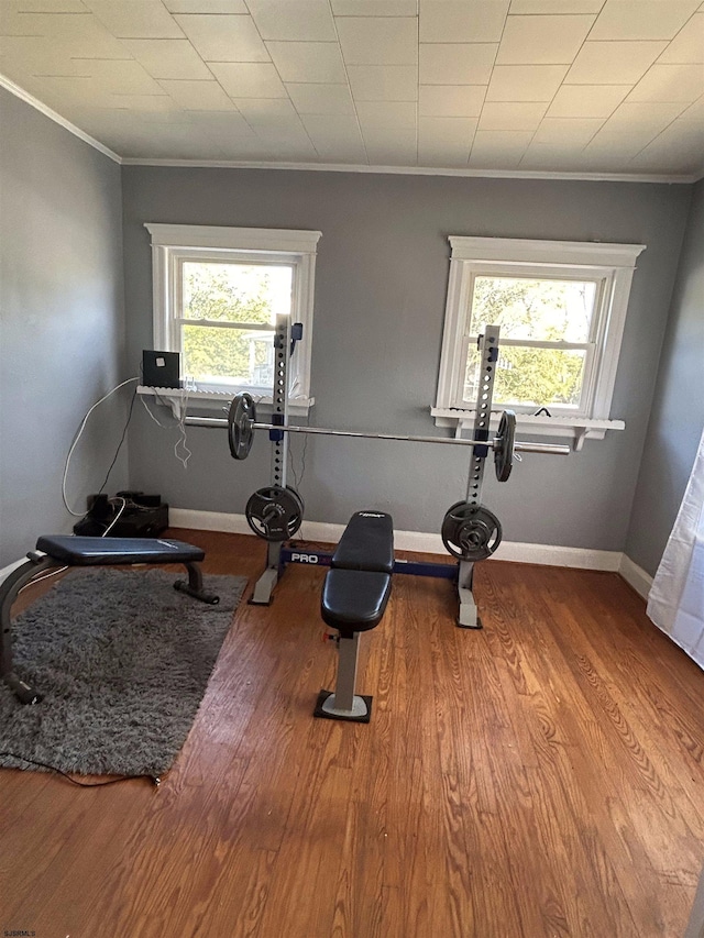 workout area featuring wood-type flooring, ornamental molding, and a wealth of natural light