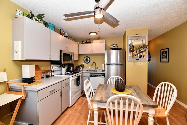 kitchen with a textured ceiling, ceiling fan, stainless steel appliances, and light hardwood / wood-style flooring