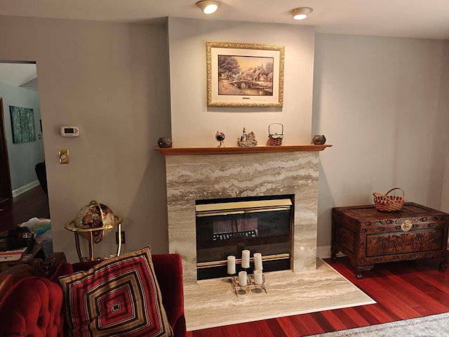 living area featuring wood-type flooring and a premium fireplace