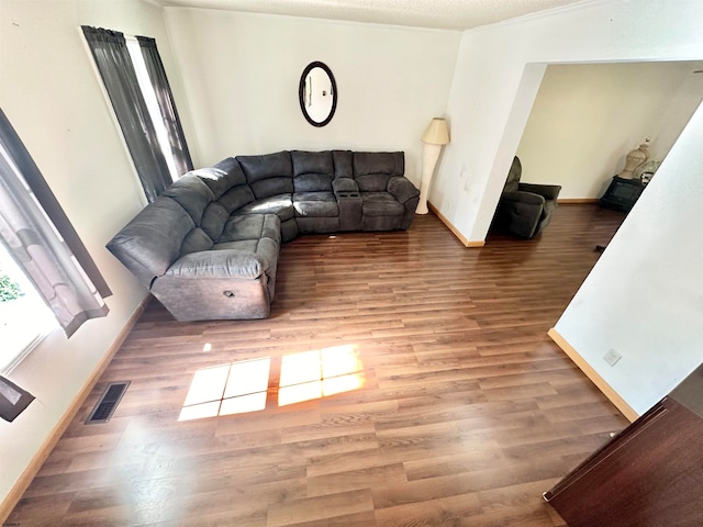 living room with a textured ceiling, hardwood / wood-style flooring, and crown molding