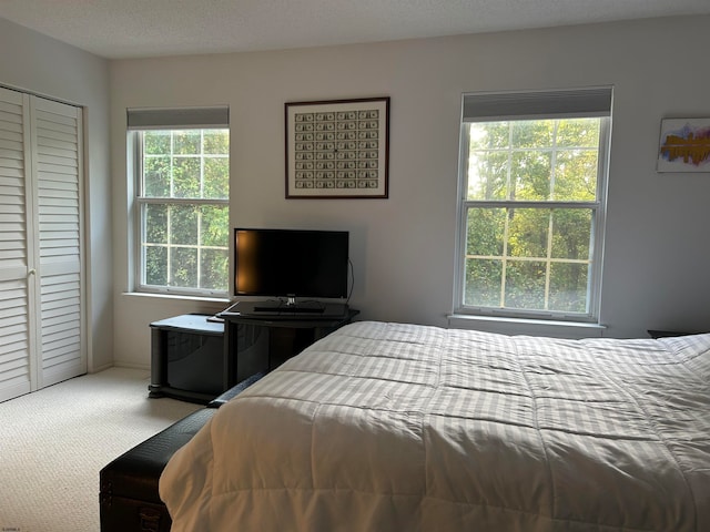 bedroom featuring carpet and a textured ceiling