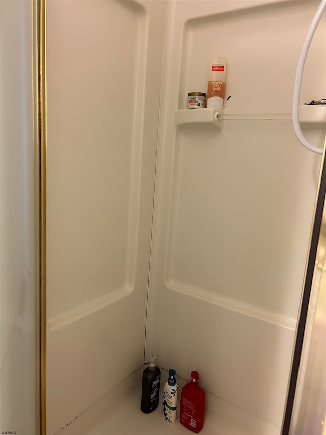 interior details featuring walk in shower