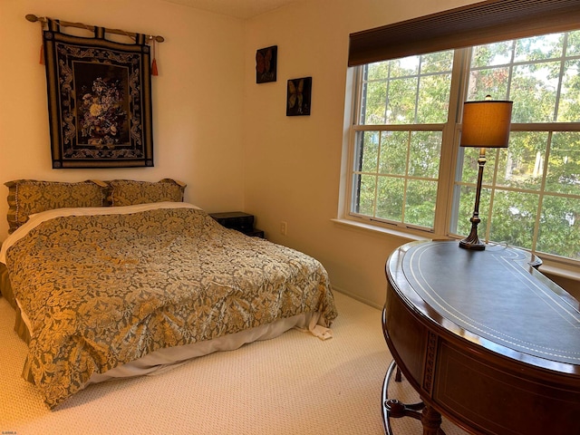 bedroom with multiple windows and carpet floors