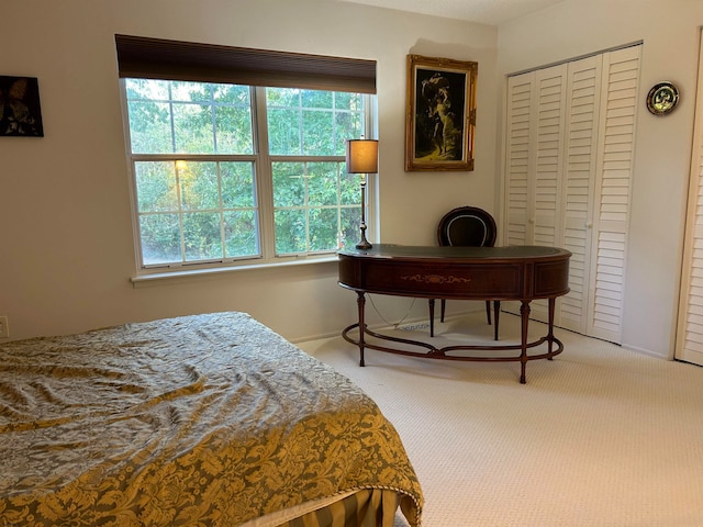 bedroom featuring a closet and carpet