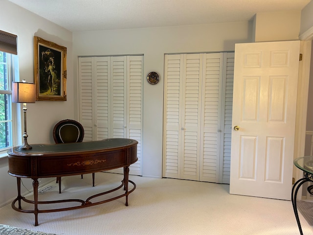 office featuring a textured ceiling and light colored carpet