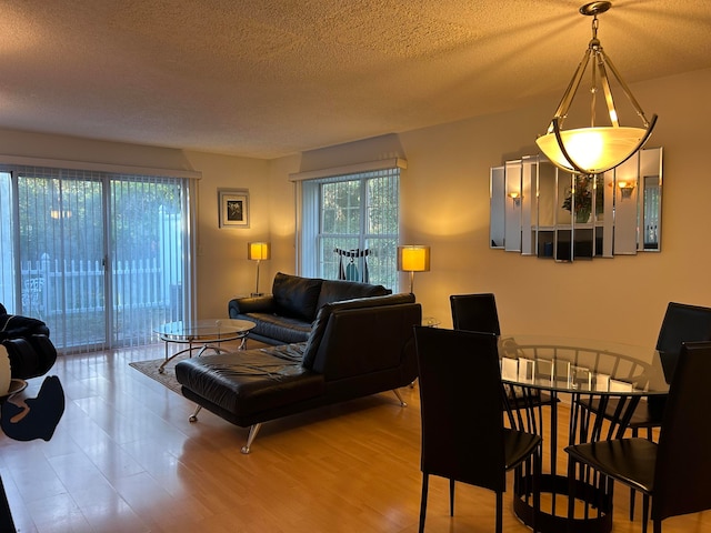 living room with hardwood / wood-style floors and a textured ceiling