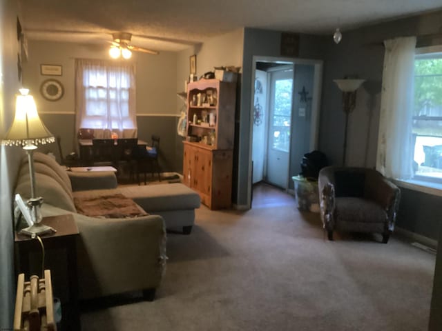 living room with ceiling fan, radiator heating unit, and carpet